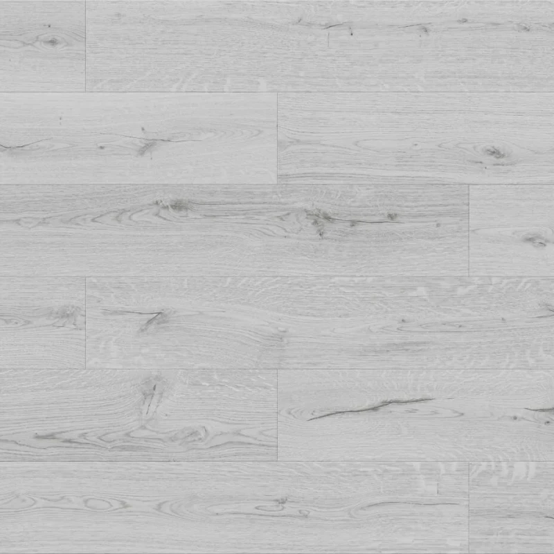 Stejar Arctic photo3